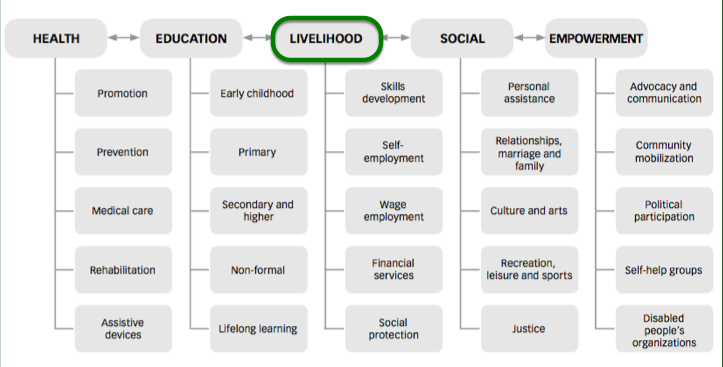 World Health Organization Community-Based Rehabilitation Matrix